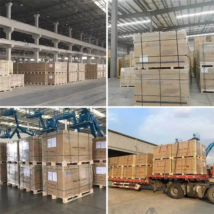 Panel Solar Bifacial packaging Panel Solar Bifacial packaging